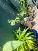 Thumb-NHÀ ĐẸP ĐĂNG VĂN BI – TRƯỜNG THỌ | 4 TẦNG – HẺM XE TẢI – 98M² – 9,5 TỶ-4