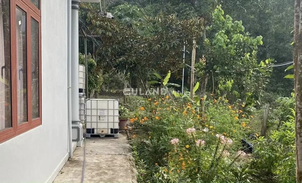 Main-Bán đất 15306m² ngang 100m giá 8.1 đ tại Xã Diên Lâm Huyện Diên Khánh-4