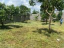 Thumb-Cho thuê Đất 1062m2 có sẵn 100 m2 thổ cư giá 5 triệu tại Đường Phan Đình Phùng Phường Lộc Tiến Thành phố Bảo Lộc Lâm Đồng-8