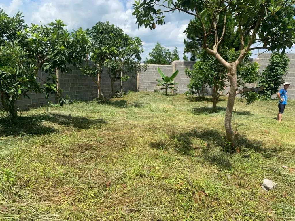 Main-Cho thuê Đất 1062m2 có sẵn 100 m2 thổ cư giá 5 triệu tại Đường Phan Đình Phùng Phường Lộc Tiến Thành phố Bảo Lộc Lâm Đồng-7
