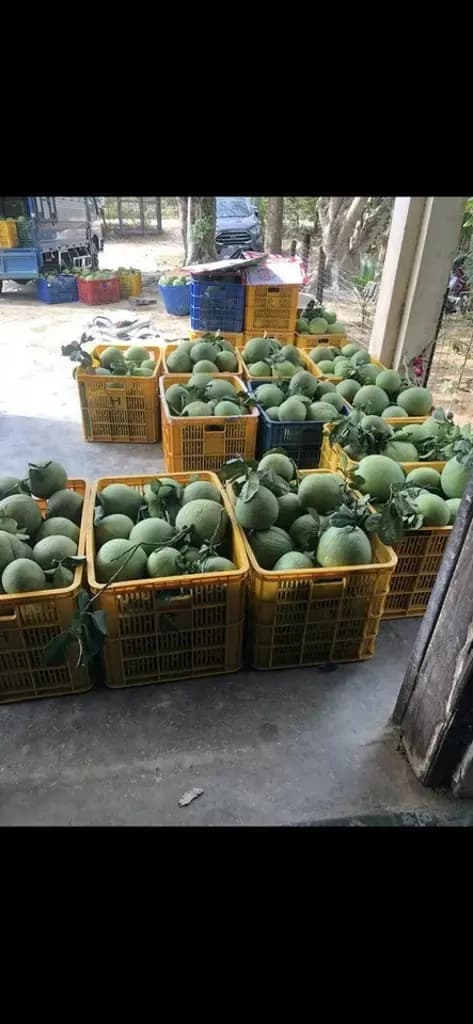 Main-CƠ HỘI ĐẦU TƯ HIẾM CÓ – QUỸ ĐẤT VÀNG ĐÓN ĐẦU HẠ TẦNG, GIÁ CHỈ 600.000Đ/M² (LH : 0913.429252)-7