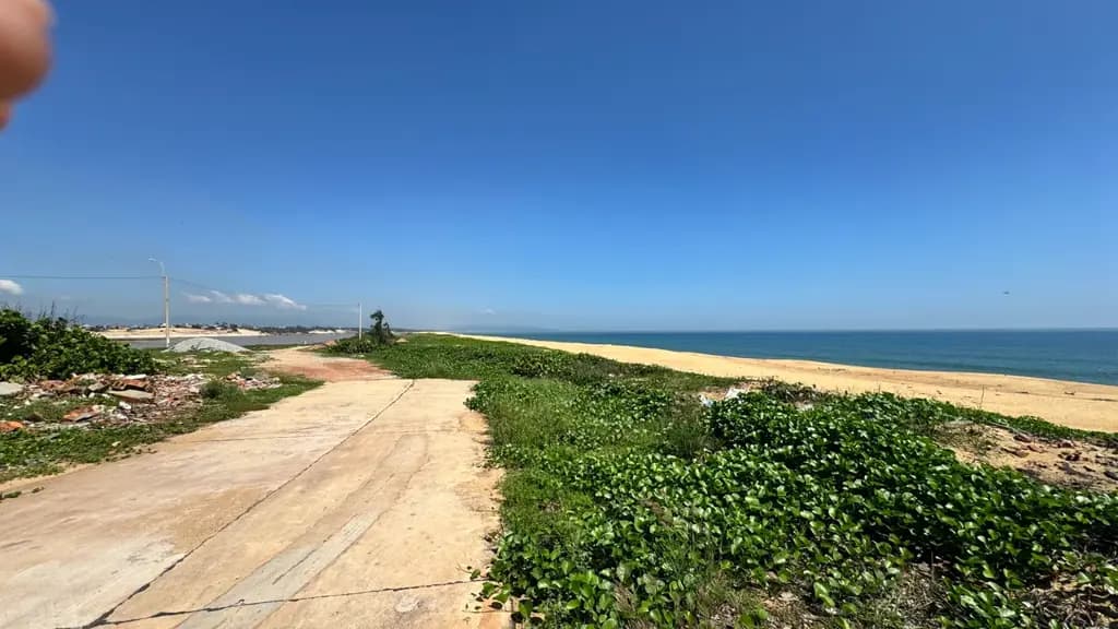 Main-HÀNG HIẾM Ở KIM GIAO TRUNG HOÀI HẢI – VÀI BƯỚC CHÂN RA BIỂN-1