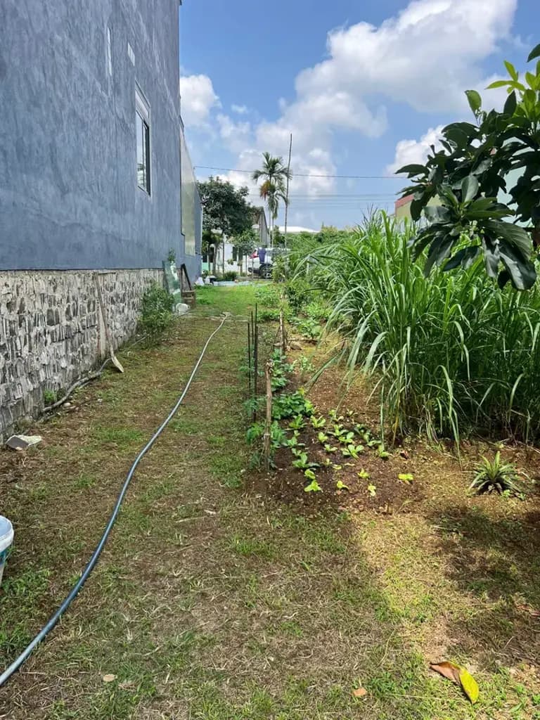 Main-Cho thuê Đất 1062m2 có sẵn 100 m2 thổ cư giá 5 triệu tại Đường Phan Đình Phùng Phường Lộc Tiến Thành phố Bảo Lộc Lâm Đồng-3
