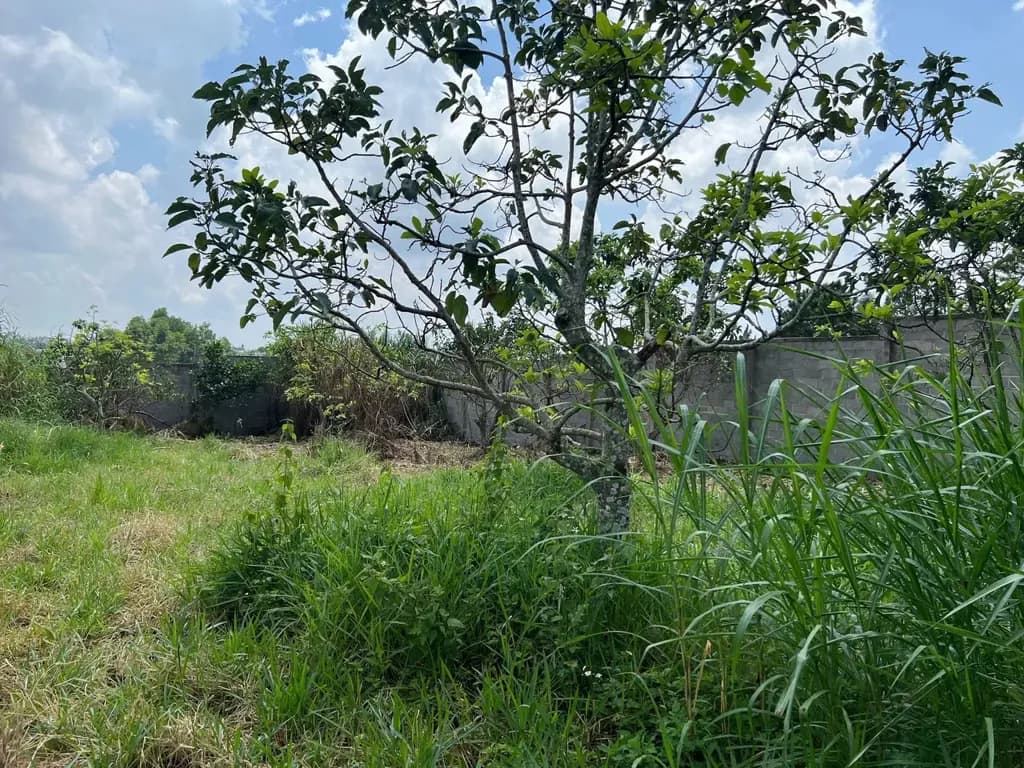 Main-Cho thuê Đất 1062m2 có sẵn 100 m2 thổ cư giá 5 triệu tại Đường Phan Đình Phùng Phường Lộc Tiến Thành phố Bảo Lộc Lâm Đồng-4