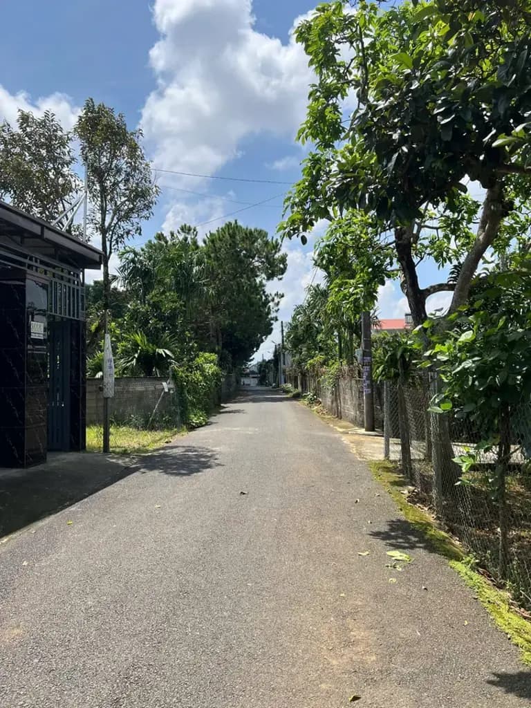 Main-Cho thuê Đất 1062m2 có sẵn 100 m2 thổ cư giá 5 triệu tại Đường Phan Đình Phùng Phường Lộc Tiến Thành phố Bảo Lộc Lâm Đồng-0