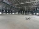 Thumb-Cho thuê xưởng 11500m2.Bàu Bàng Bình Dương.Giá 60k/ m2-3