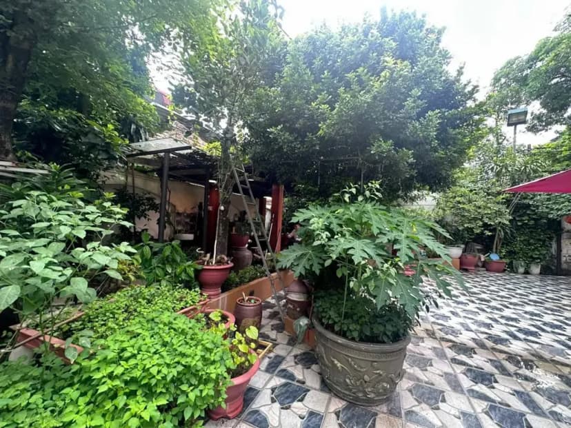 Bán Nhà riêng 285m2 có sẵn 285 m2 thổ cư giá 10.8 tỷ tại Đường Nguyễn Hữu Cầu Phường Ngọc Châu Thành phố Hải Dương Hải Dương