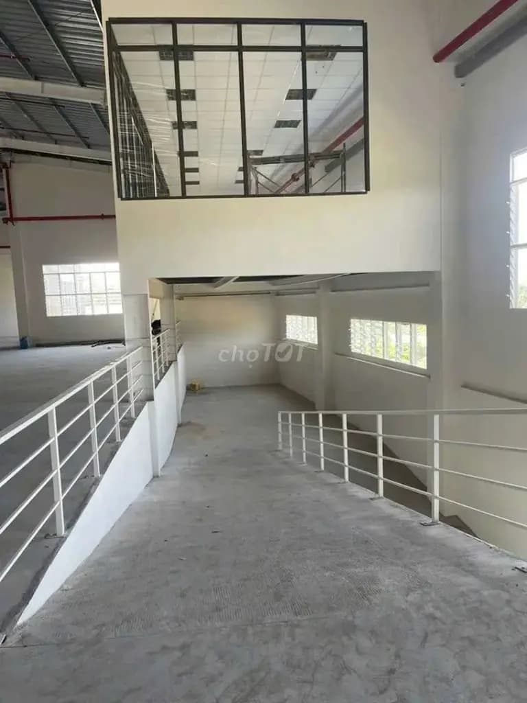 Main-cho thuê xưởng tân hiệp tân uyên bình dương-1