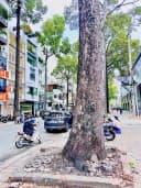 Thumb-❇️❇️ Cho Thuê Toà Nhà Mặt Tiền: 265-267 Trần Bình Trọng - Quận 5 - 10x20m, hầm, 8 tầng-2