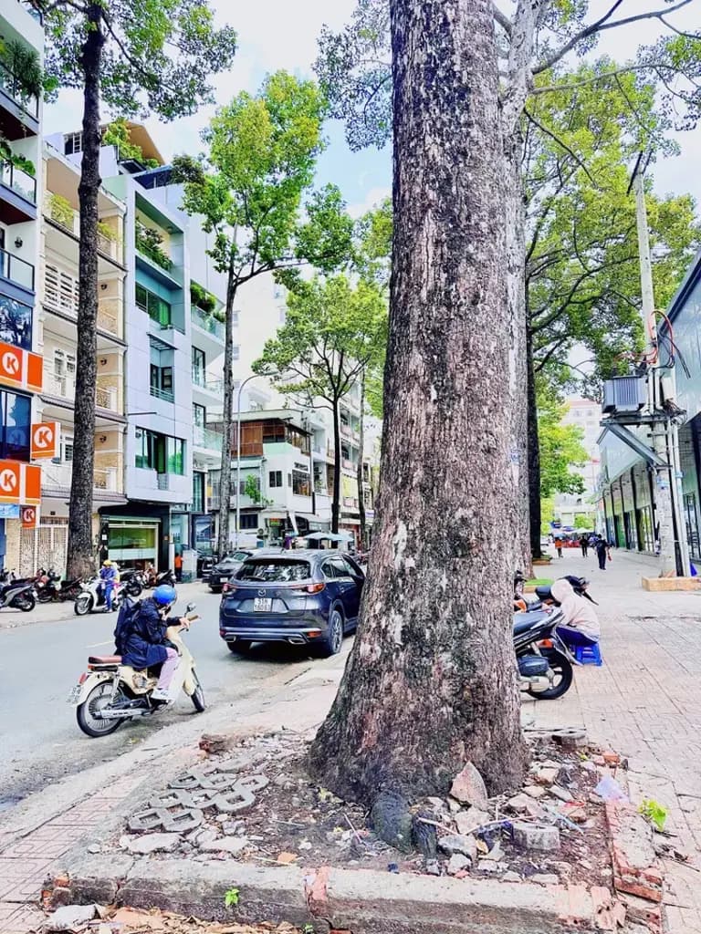 Main-❇️❇️ Cho Thuê Toà Nhà Mặt Tiền: 265-267 Trần Bình Trọng - Quận 5 - 10x20m, hầm, 8 tầng-1