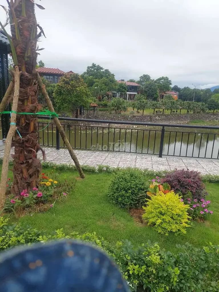 Main-Bán Đất 100M ĐẤT THỔ CƯ có sẵn SỔ GIAO DỊCH NGAY giá 2 tỷ 1-1