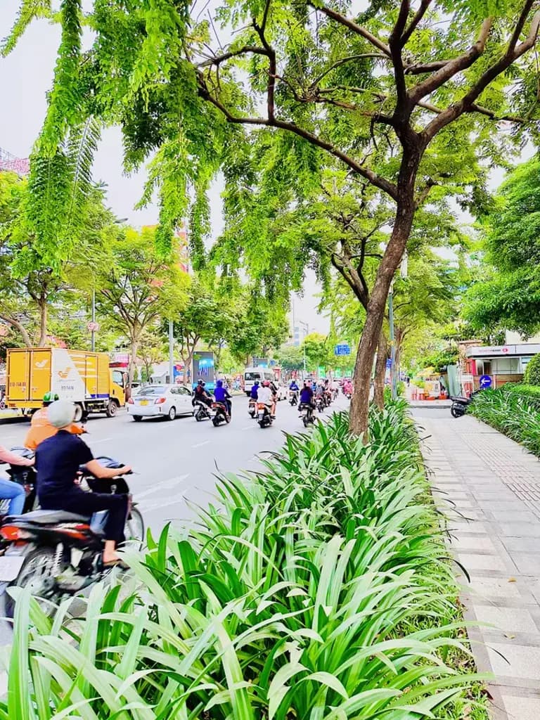 Main-❇️❇️ Cho Thuê Toà Nhà: 31A-31-31B Trường Sơn - Quận Tân Bình - 18x17m, hầm, 9 tầng-3