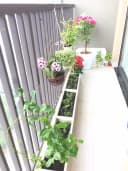Thumb-JAMILA KHANG ĐIỀN GIÁ THUÊ CỰC TỐT: 76m2 10 Triệu (Cơ bản * hiếm *) - 70m2 11.5 Triệu (Full nội thất-4