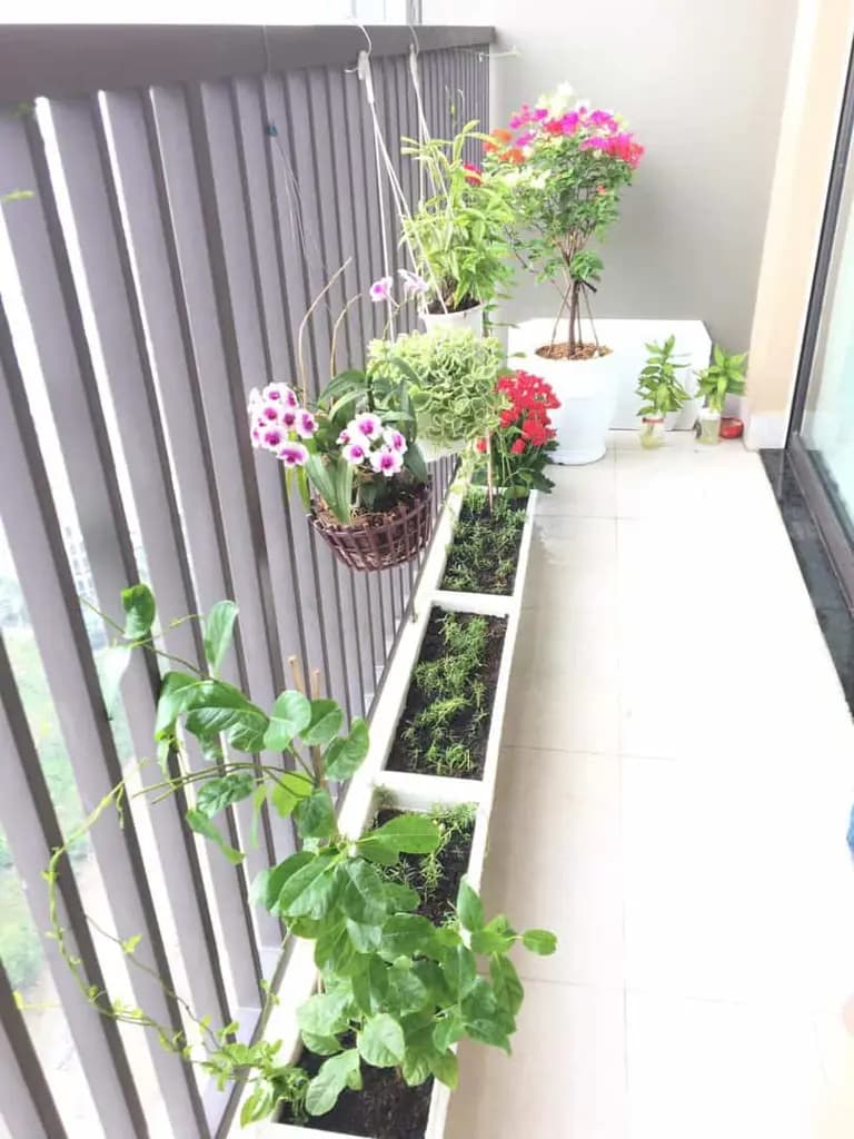 Main-JAMILA KHANG ĐIỀN GIÁ THUÊ CỰC TỐT: 76m2 10 Triệu (Cơ bản * hiếm *) - 70m2 11.5 Triệu (Full nội thất-3