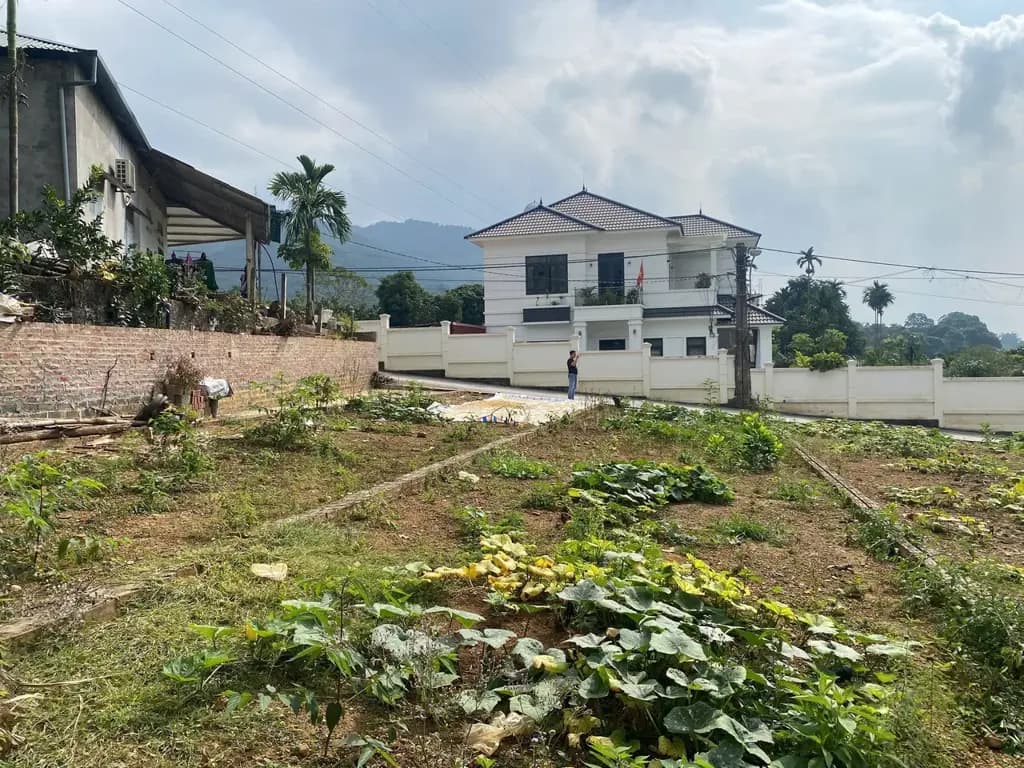 Main-Kỳ Sơn, Hoà Bình chỉ với 500triệu có ngay lô đất 2 mặt tiền gần tỉnh lộ-3