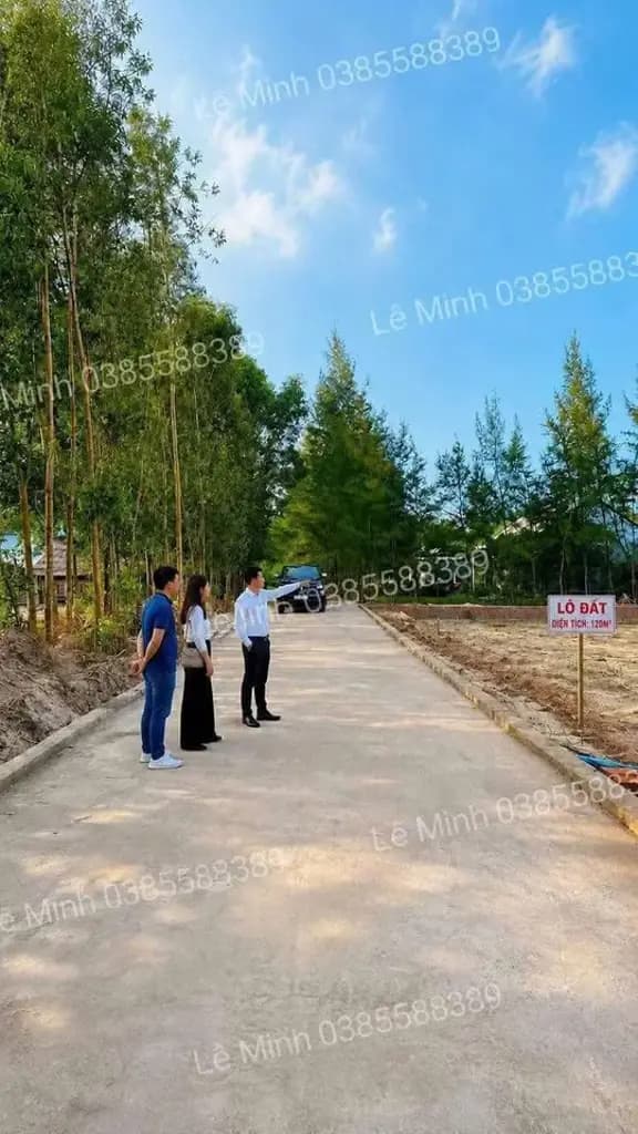 Main-Bán Đất 151.1m2 có sẵn 151.1 m2 thổ cư giá 290 triệu tại Xã Triệu Lăng Huyện Triệu Phong Quảng Trị-2