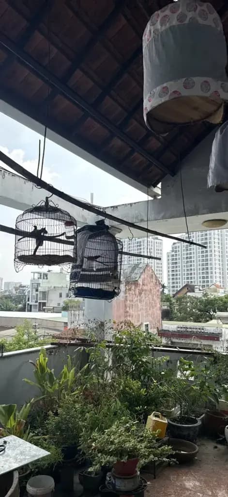 Main-BÁN BIỆT THỰ PHẠM VĂN ĐỒNG HIỆP BÌNH CHÁNH THỦ ĐỨC 129m2 6pn 17tỷ-4