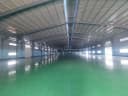Thumb-Cho thuê xưởng 4800 cụm công nghiệp thuận an.Làm được giấy phép đầu tư-1