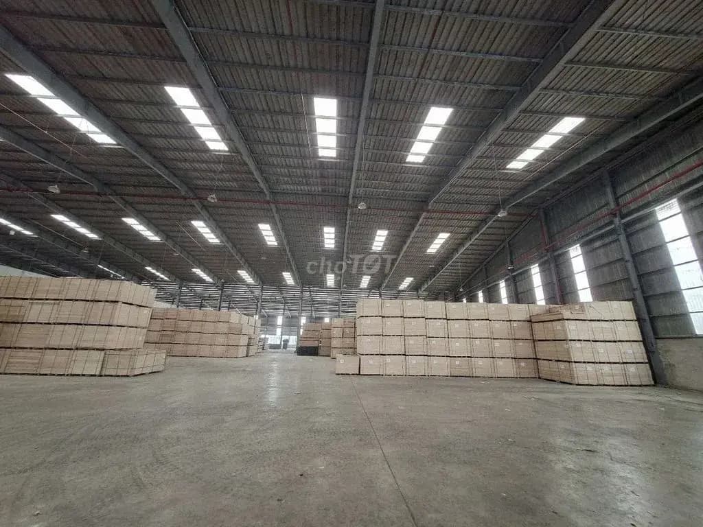 Main-thue xuong giá 350 triệu tại - Chọn - Phường An Phú Thị xã Thuận An Bình Dương-2