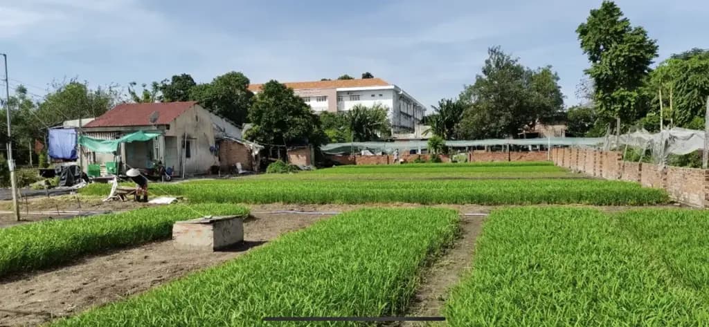 Main-Bán gấp lô đất đẹp cách Trịnh Thị Miếng Hóc Môn 60m-1100m2-có sẵn 300m thổ cư,hẻm xe hơi.-6