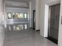 Thumb-Cho thuê Nhà riêng 162m2 giá 55 triệu tại Phường An Khánh Quận Ninh Kiều Cần Thơ-2