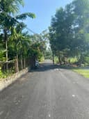 Thumb-Lô đất 2 mặt kiệt đường nhựa 5m Tân Hạnh - P. Hòa Xuân, TP. Đà Nẵng-4