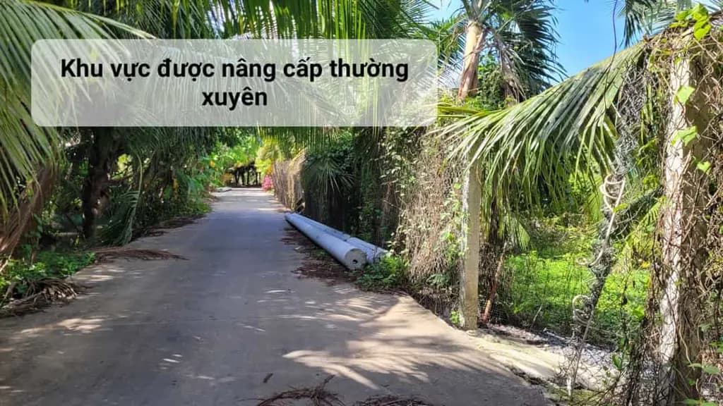 Main-Chính chủ cần bán đất, đường N3 Khu đô thị Mỹ Hưng, Mỹ Phong, Đồng Tháp mới (TP. Mỹ Tho, Tiền Giang)-2