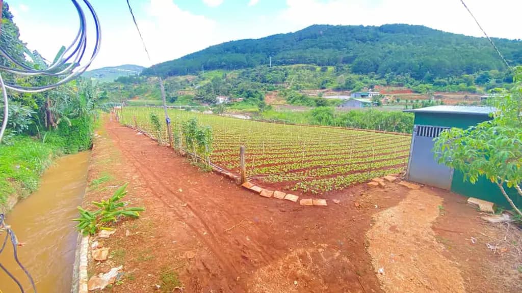 Main-Bán 3 sào hẻm ql20, trung hiệp, hiệp an - lâm đồng-4