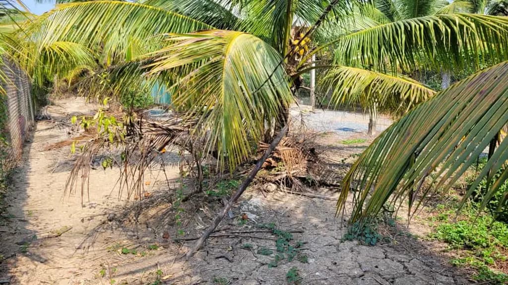 Main-Chính chủ cần bán đất, đường N3 Khu đô thị Mỹ Hưng, Mỹ Phong, Đồng Tháp mới (TP. Mỹ Tho, Tiền Giang)-3