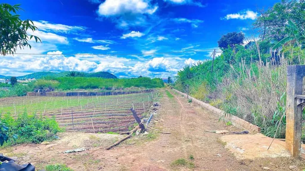 Main-Bán 3 sào hẻm ql20, trung hiệp, hiệp an - lâm đồng-1