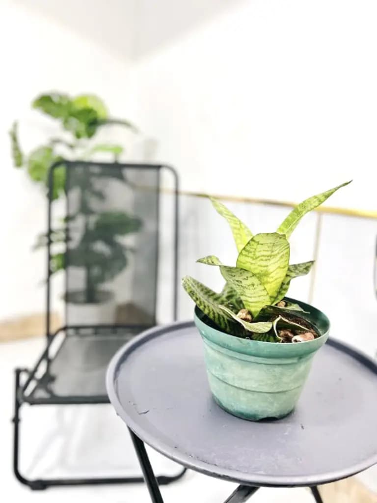 Main-Phòng full nội thất cực chill khu vực ngã tư Ga-4