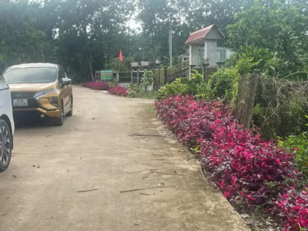 Main-Bán 716m2 thửa đất số 361 tại Xã An Bình, Huyện Phú Giáo, Tỉnh Bình Dương-6