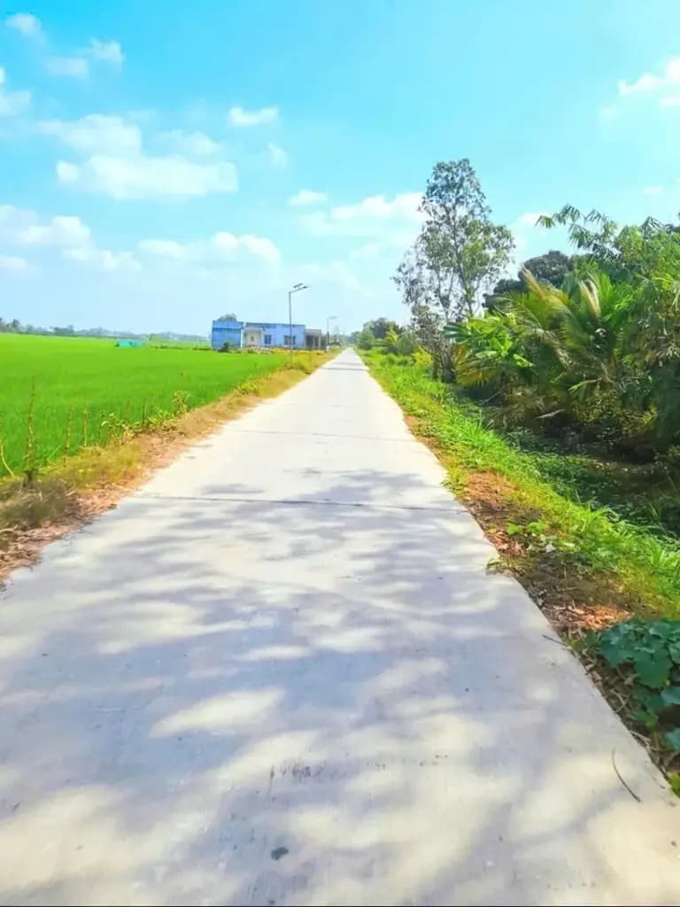 Main-Bấn đất sát bên ngã tư lạc tấn ngần chợ trường học giá 350tr (rẻ nhất khu vực)-2