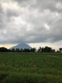 Thumb-Bán 4.000m2 đất gần cầu K13, phường Ninh Thạnh, view Núi Bà Đen, giá 2.2tỷ-2