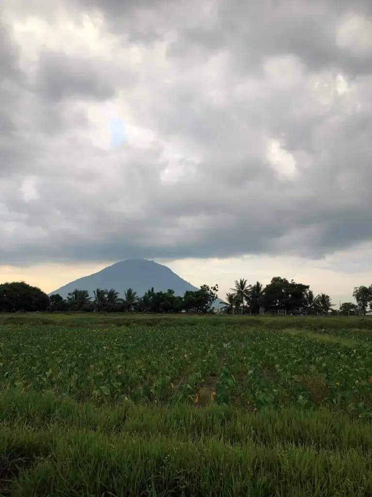 Main-Bán 4.000m2 đất gần cầu K13, phường Ninh Thạnh, view Núi Bà Đen, giá 2.2tỷ-1