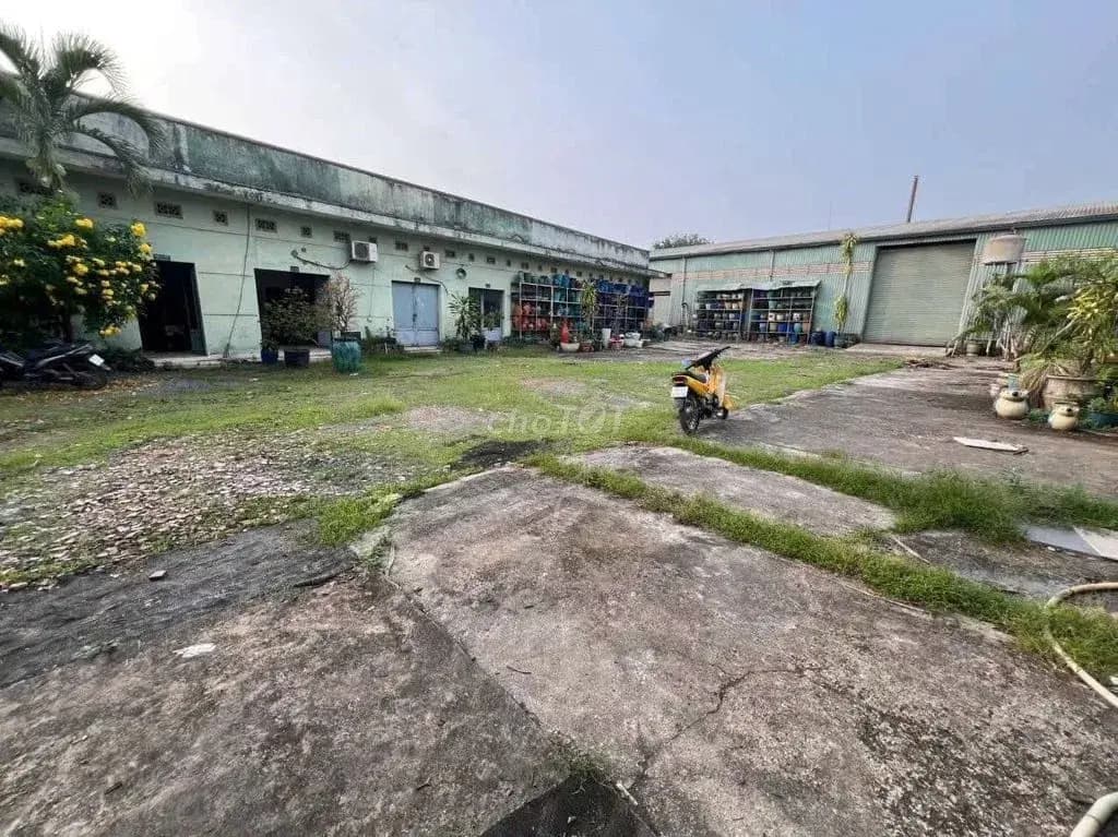 Main-Xưởng Thuận An 2000m/45tr Đường Cont-2