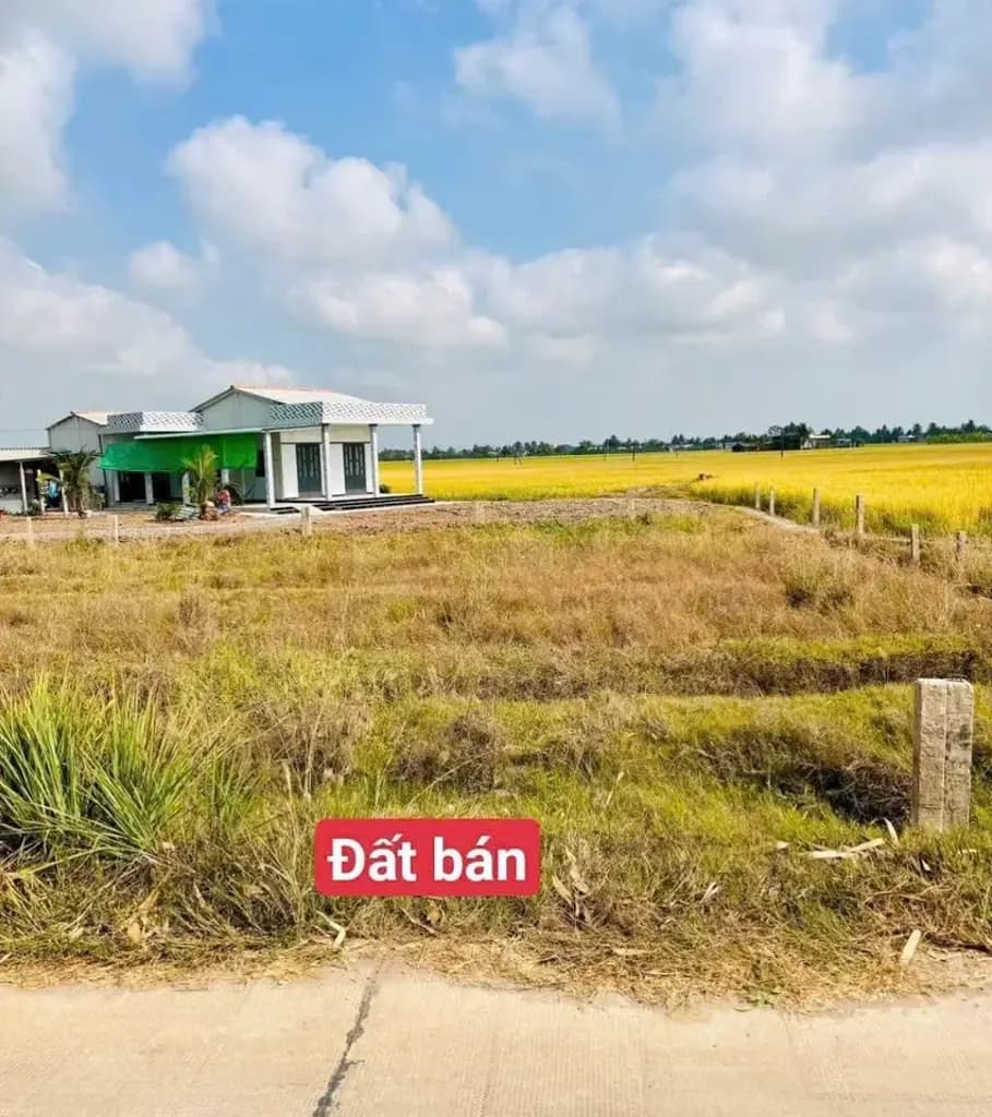 Main-Bấn đất sát bên ngã tư lạc tấn ngần chợ trường học giá 350tr (rẻ nhất khu vực)-5