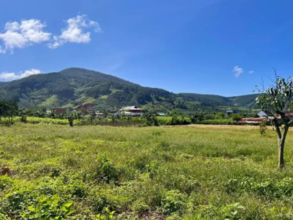 Main-Bán 384 m2 thửa đất số 179, tờ bản đồ số: 20, Xã Mê Linh, H.Lâm Hà, tỉnh Lâm Đồng-2