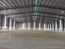 Thumb-Cho thuê xưởng 2800m2 giá 230 triệu Vĩnh Tân Tân Uyên Bình Dương , G.tờ đầy đủ , S.X đa nghành nghề-2