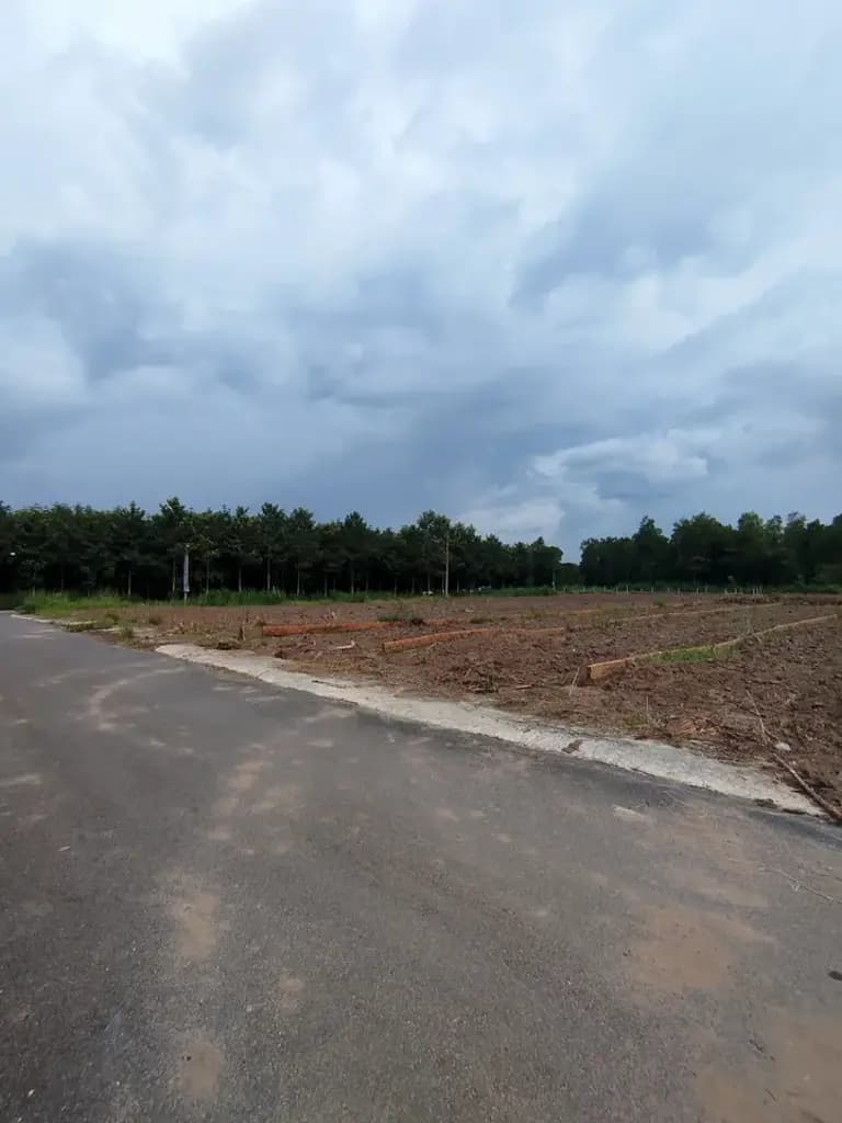 Main-Bán đất thổ cư ngay cổng KCN An Linh, cách Vành Đai 6 đúng 200m-2