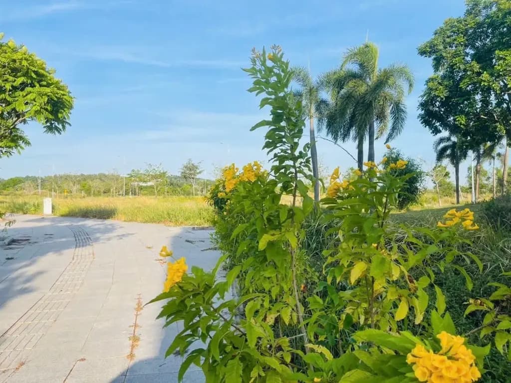 Main-Nhượng lại nền 100m2 5x20m, vị trí đẹp, giá ngộp chỉ 1,5 tỷ bao thuế phí sổ sẵn NH cho vay tới 80%-6