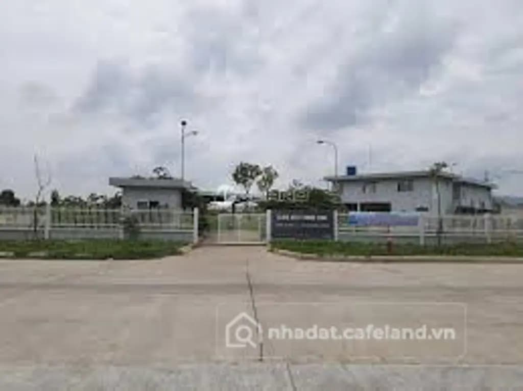 Main-CHỦ GỬI 1000M2 ĐẤT TC CÓ SẴN VƯỜN MÍT ĐANG THU HOẠCH CẠNH CHỢ VÀ UBND CHỈ 550TR-9