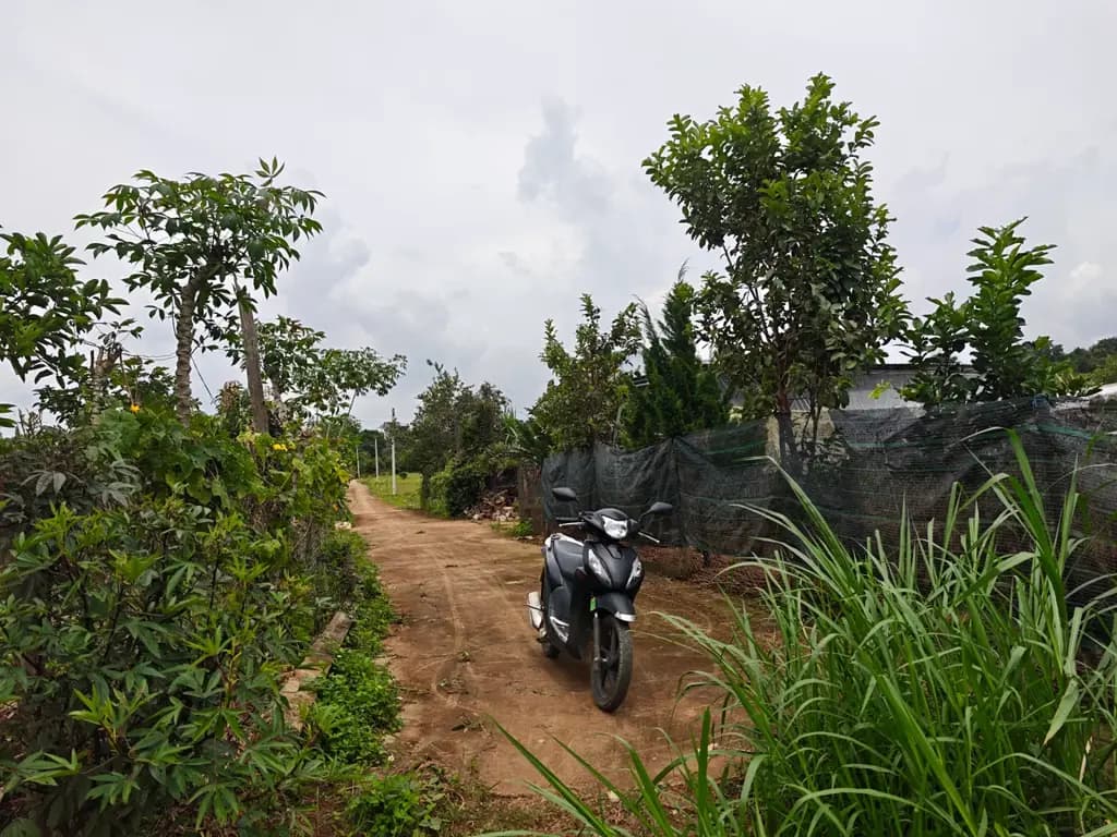 Main-Bán Đất 400m2 ODT Nam Ban Huyện Lâm Hà-2
