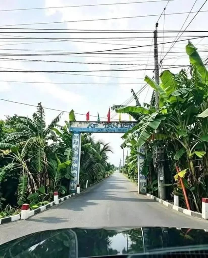 Main-Bán Đất 279m2 có sẵn 279 m2 thổ cư giá 5.7 tỷ tại hẻm 278 Đường Châu Thị Kim Phường 7 Thành phố Tân An Long An-0