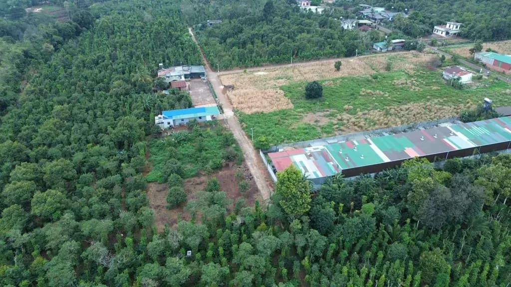 Main-Bán đất thôn 3 Cư Suê 150.9m² có sẵn 145m² thổ cư ngang 5m giá 595triệu tại Xã Quảng Phú-8