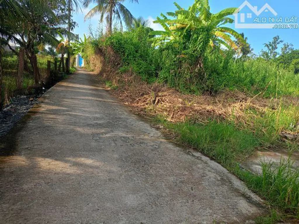 Main-Bán Đất 215m2 có sẵn 215 m2 thổ cư giá 4.9 tỷ tại hẻm ô tô Đường Châu Thị Kim An Vĩnh Ngãi TP Tân An-2