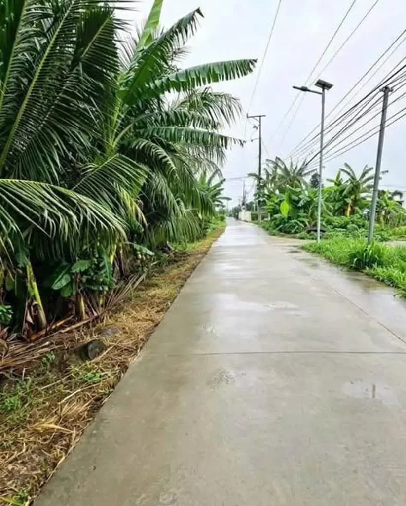 Main-Bán Đất 279m2 có sẵn 279 m2 thổ cư giá 5.7 tỷ tại hẻm 278 Đường Châu Thị Kim Phường 7 Thành phố Tân An Long An-2