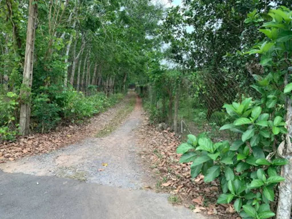Main-Bán 167.1m2 Thửa đất số: 90 thị trấn Vĩnh An, huyện Vĩnh Cửu, tỉnh Đồng Nai-1