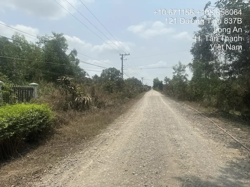 Main-Bán Nhà riêng, diện tích 1600m2 (full thổ cư) giá 3.7 tỷ tại Đường Tỉnh 837 Xã Hậu Thạnh Tây Huyện Tân Thạnh Long An-3