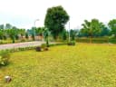 Thumb-ĐẤT CỔNG SÂN GOLF ĐỒNG MÔ – 64M² FULL THỔ CƯ – CHỈ 1,7 TỶ 🔥-3